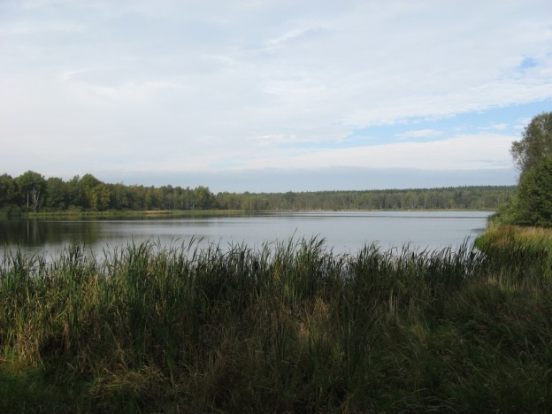Rybník Světlík