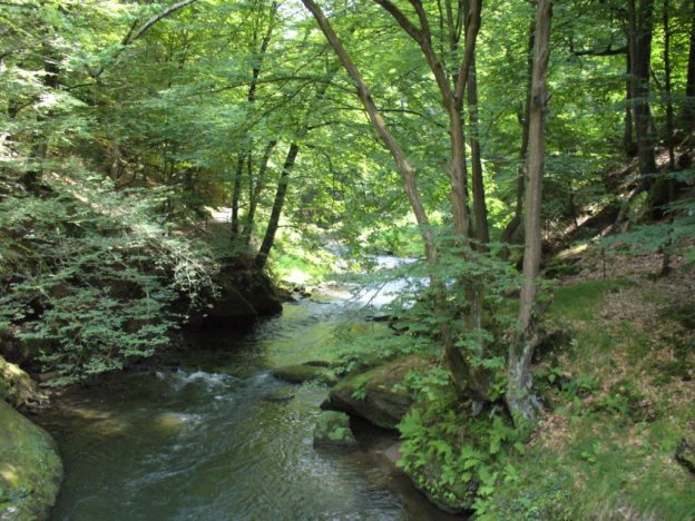 Cesta podél Kamenice