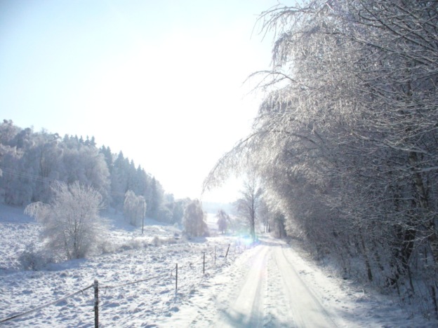 Okolí Jedlové
